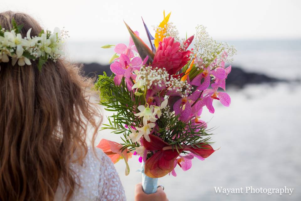 Wayant Photography