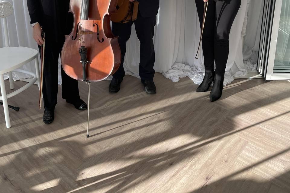 Violin, cello, guitar trio