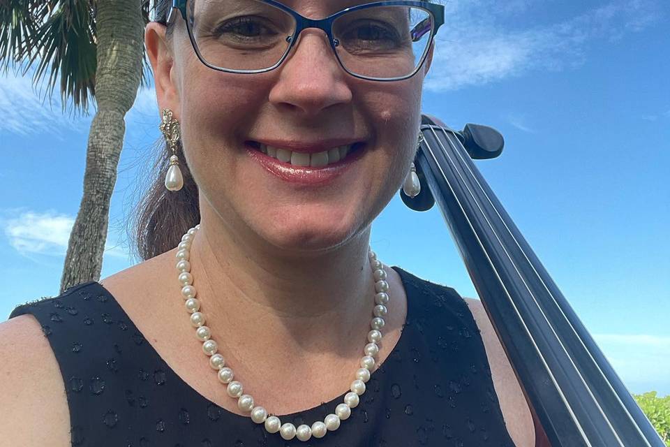 Paradise Strings, LLC