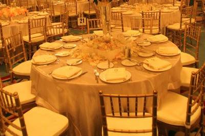 Indian Wedding Venue: Millennium Biltmore - Indian Wedding Venues United  States and Canada