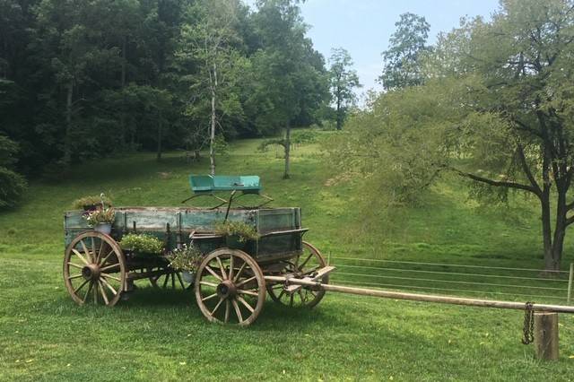 Old wagon on farm