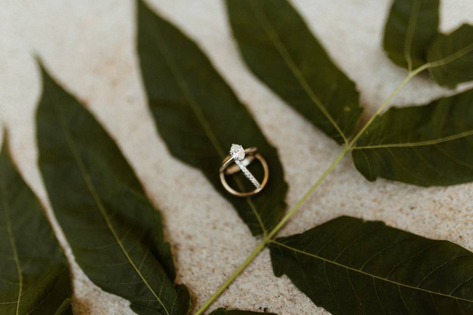 Bride's ring on leaf