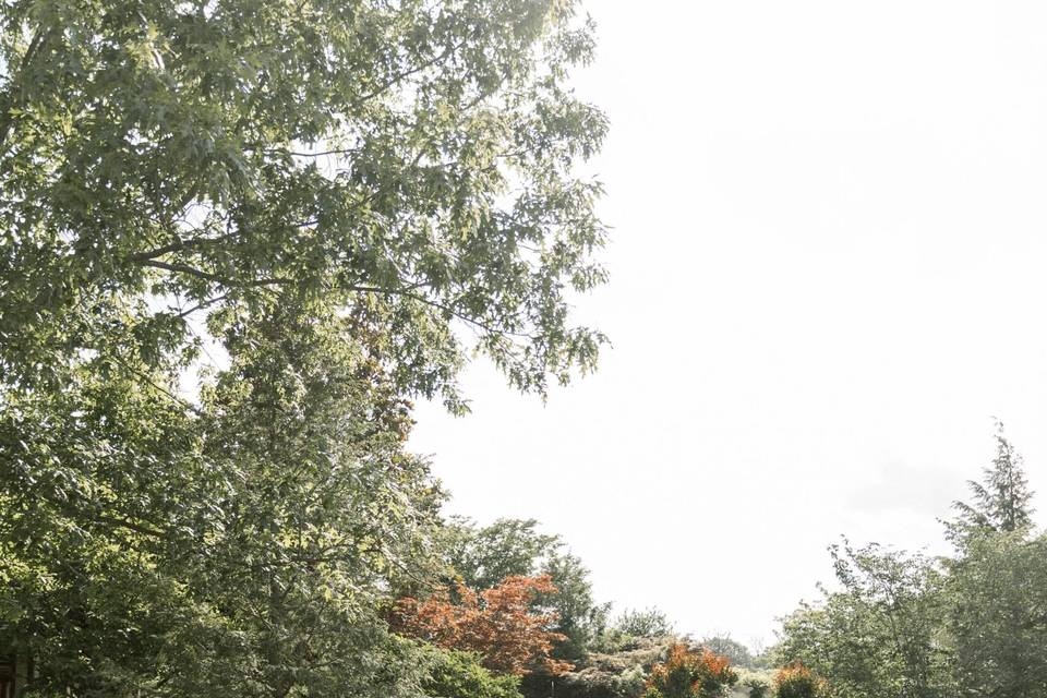 Yana Shellman Photography