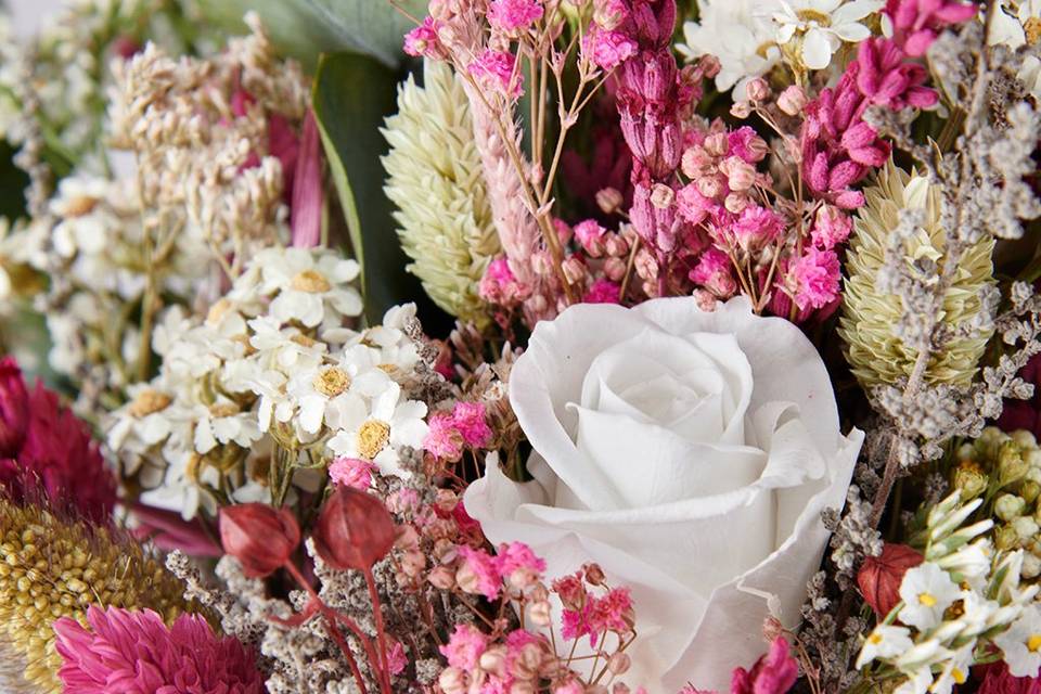 Foral Village