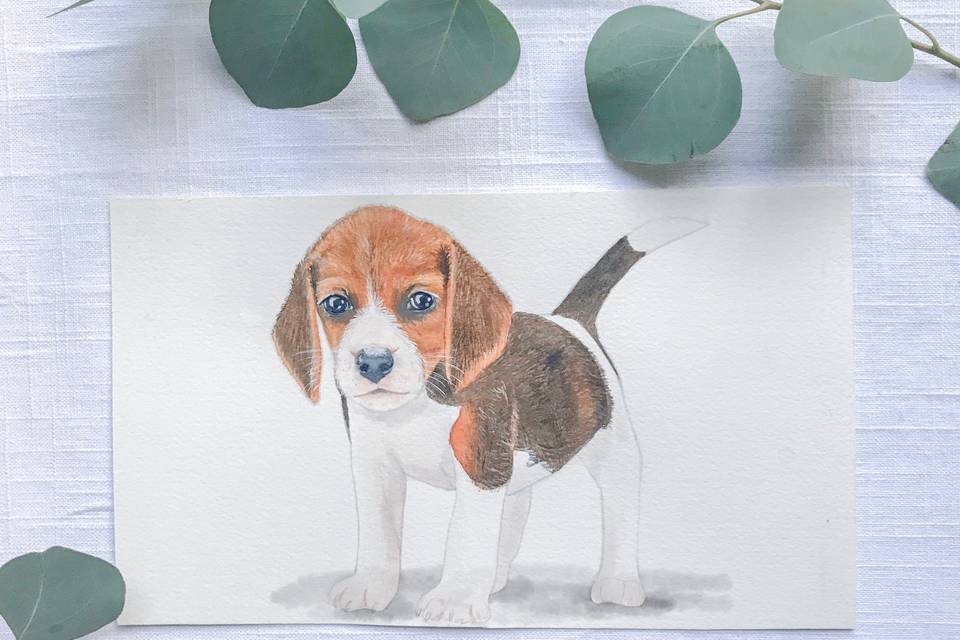 Pet Watercolor Portrait