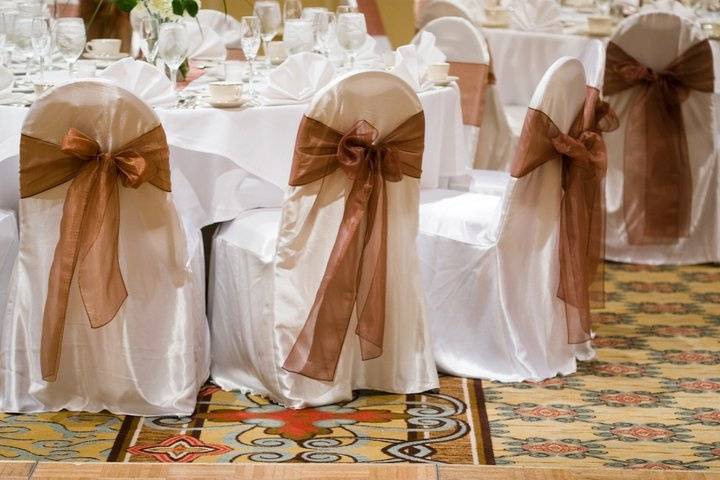 Stylish chair covers