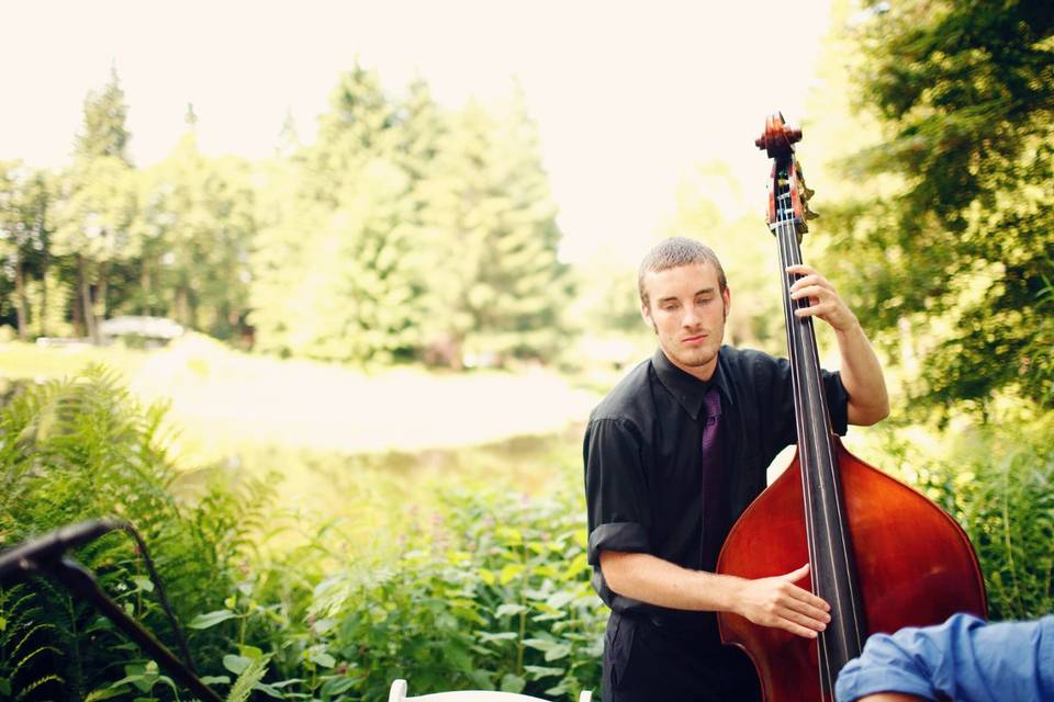 Upright bass