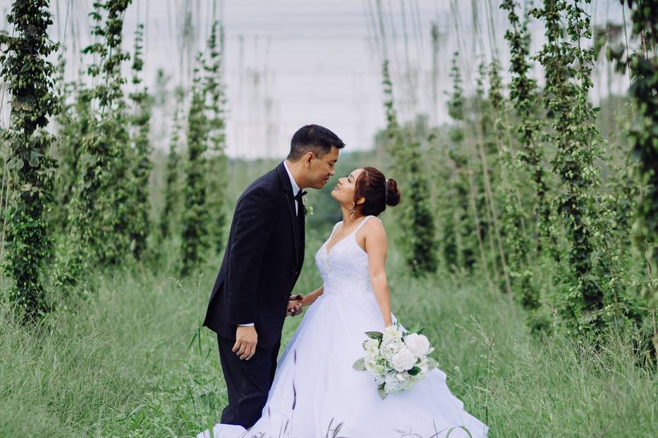 Love in the hops field