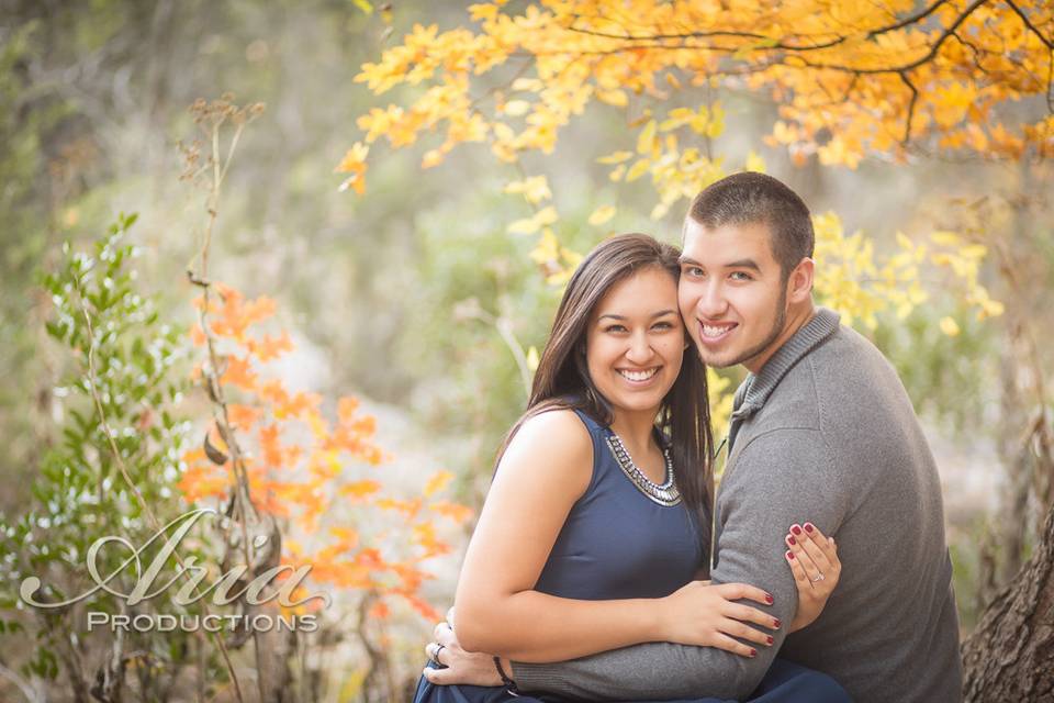 Aria Productions, Lost Maples engagement portraits.