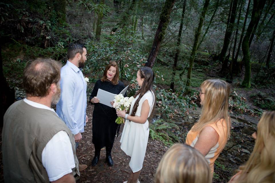 Dasha and jake under the forest canopy in the santa cruz mountains