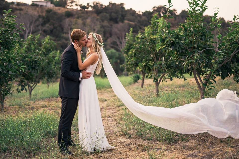 Kiss in the orchards
