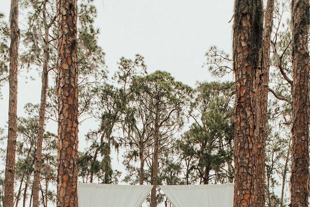 Pines of Windermere - drapery