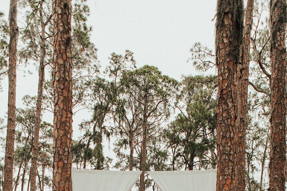 Pines of Windermere - outdoor wedding decor