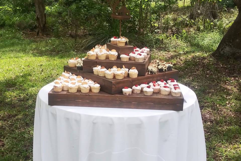 Mead Botanical Gardens - cupcakes