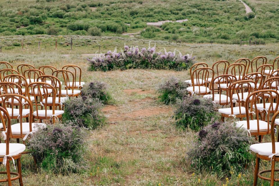 Nicole Delaney Events