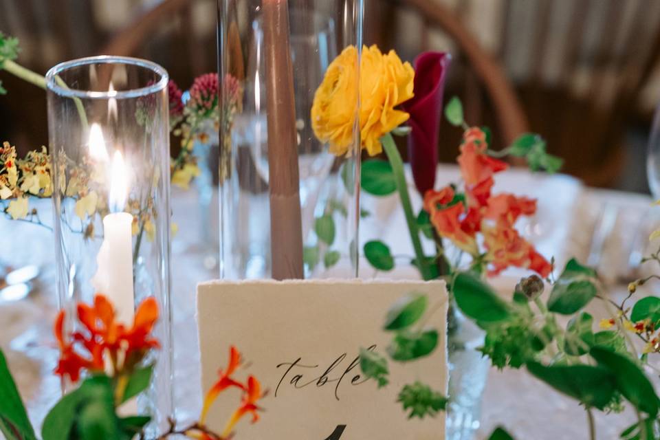 Nicole Delaney Events