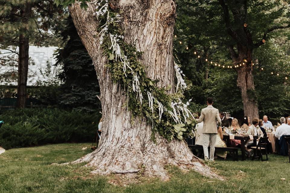Nicole Delaney Events