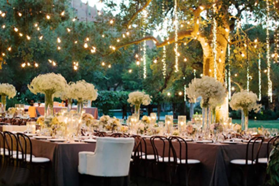 Table setup