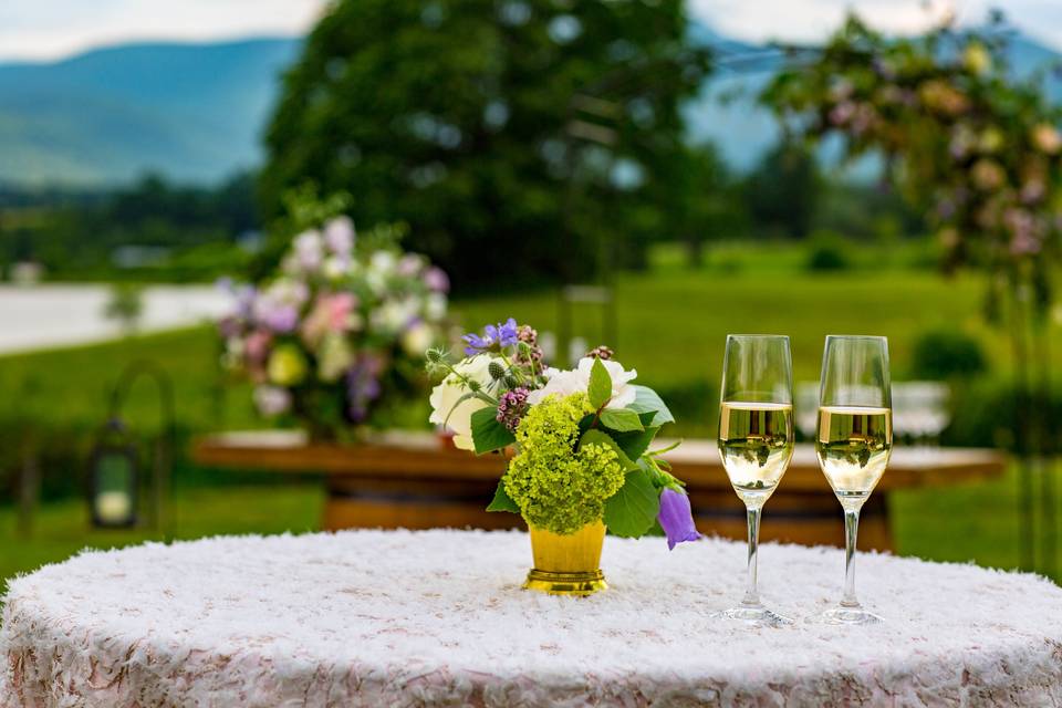 Cocktails on The Lawn