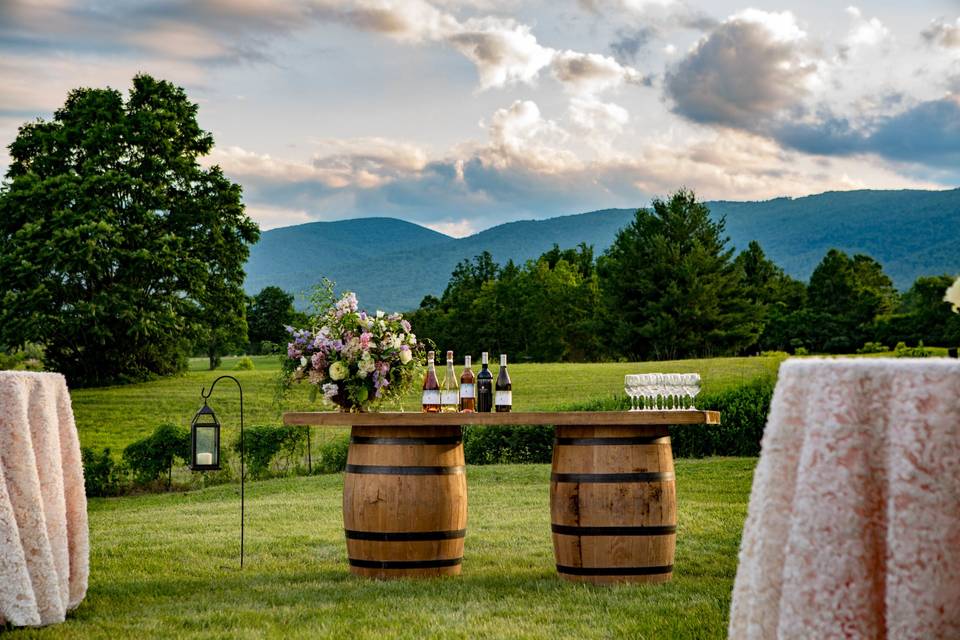 Pre- and Post-Ceremony refreshments served on The Lawn