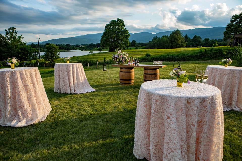 Cocktail hour on The Lawn