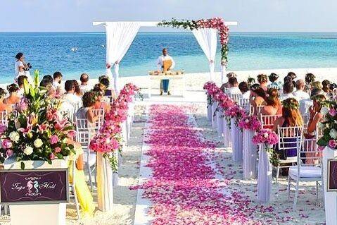 Avec Plaisir Events