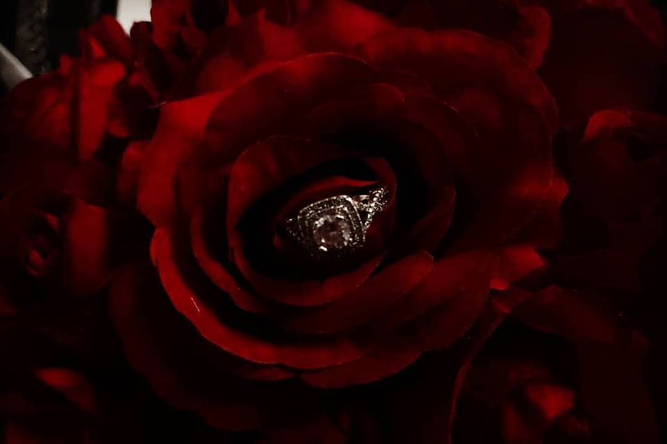 Ring in red rose