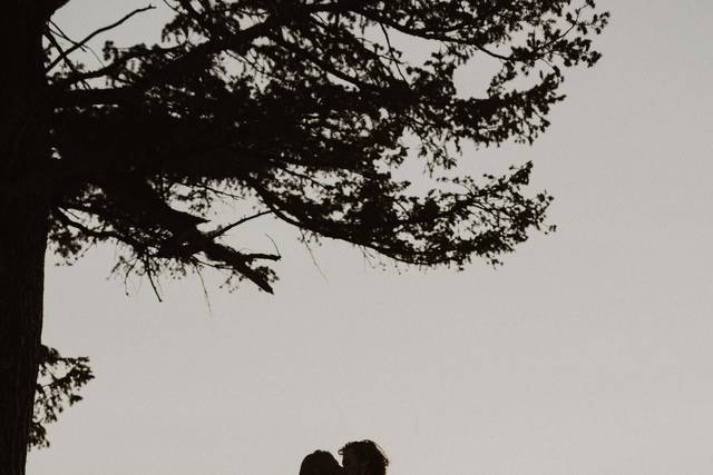 National Park Elopement