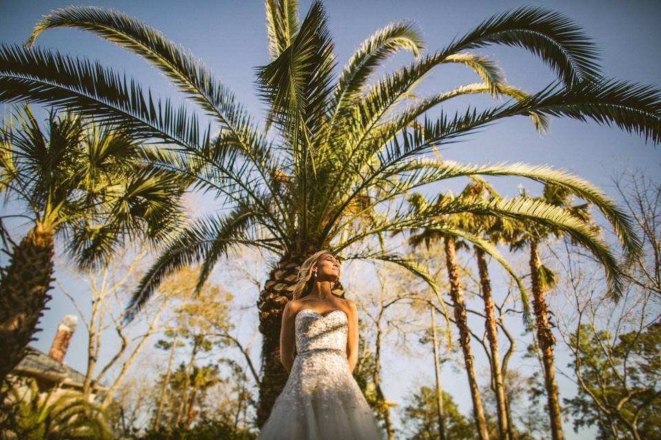 Palm Tree Bridal Portrait