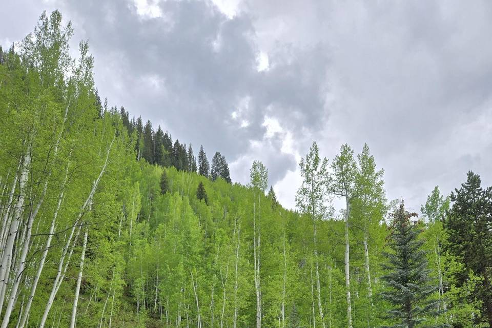 Shuttle Vans in Vail