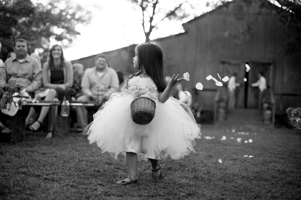 Rose Wheat Photography