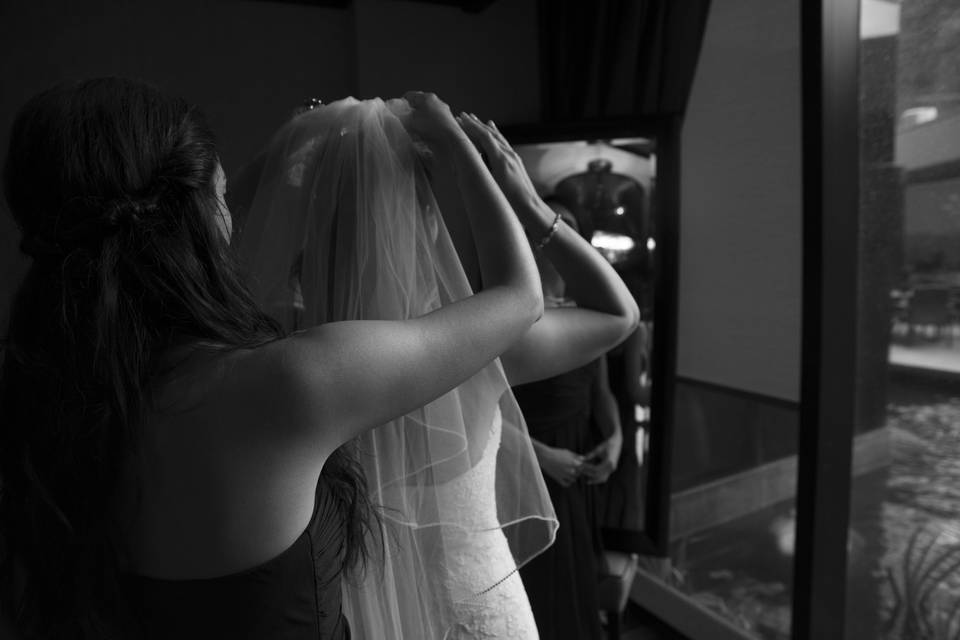 All RAW Image Ownership!