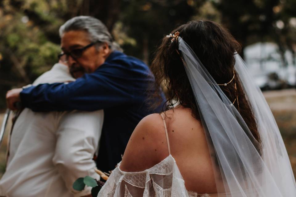 Father giving away the Bride