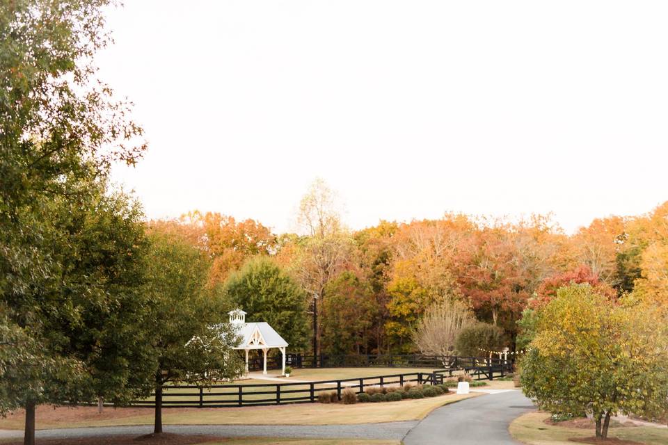 Fall driving in