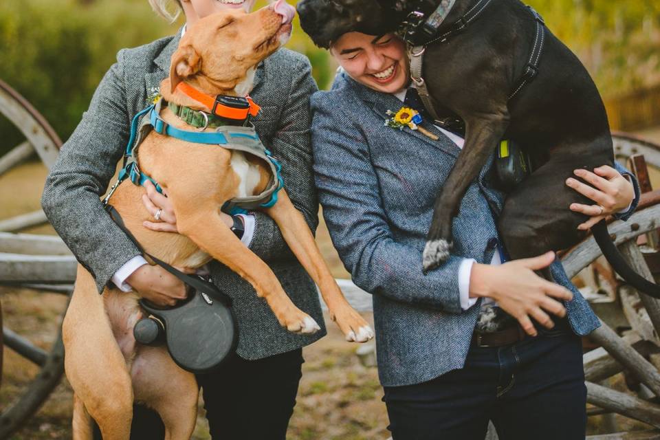 Wedding Portrait