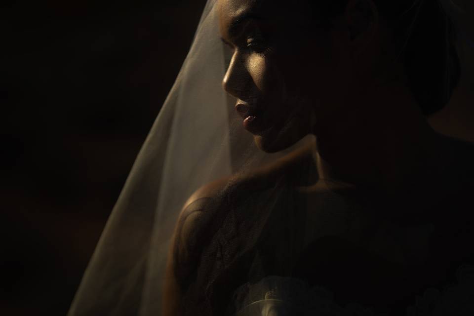 Bride in Sunlight