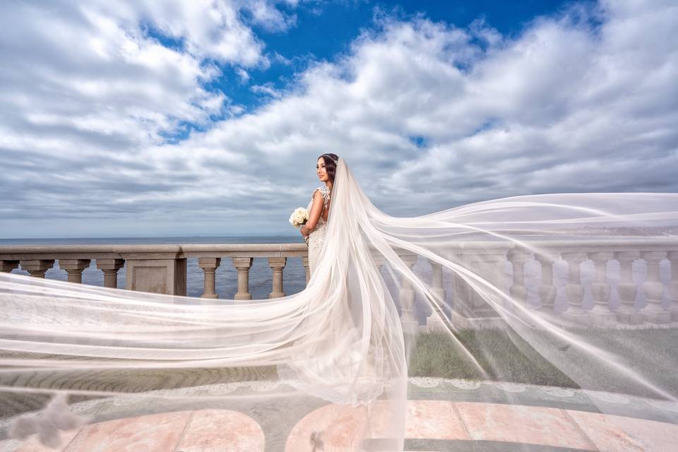 Bride with Veil