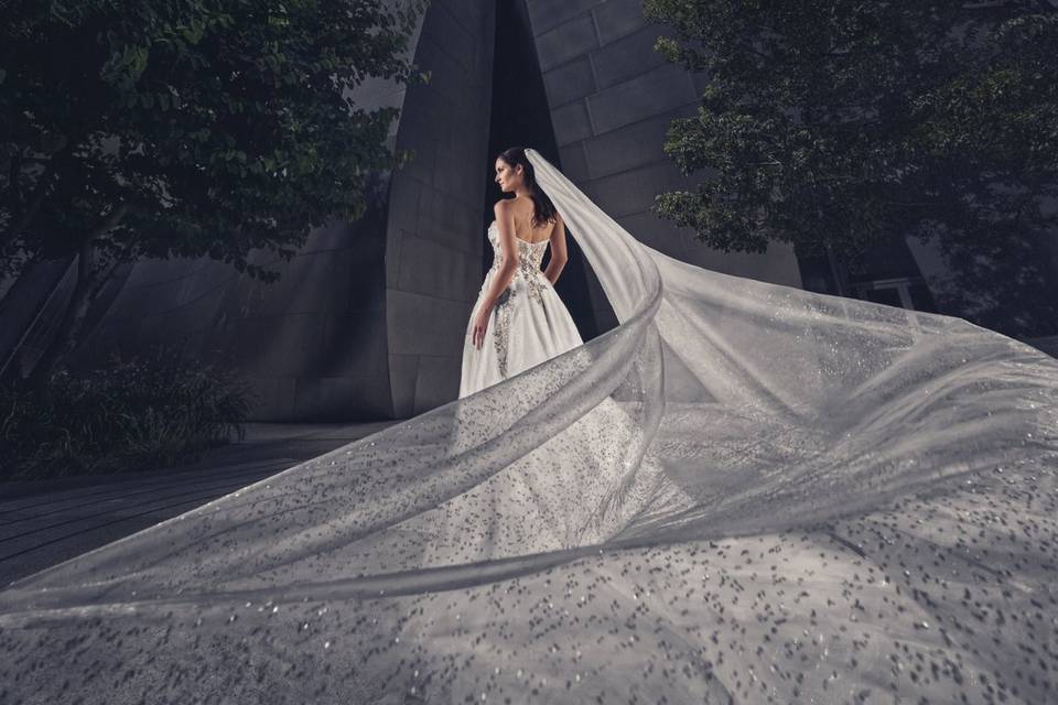 Bride in front of Structure