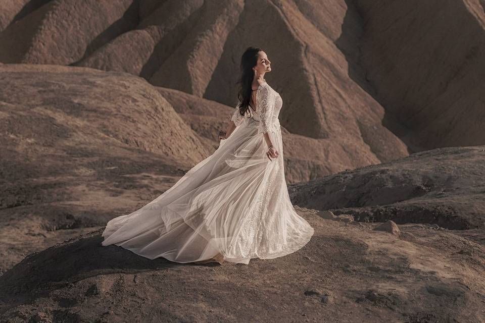 Bride In Canyon