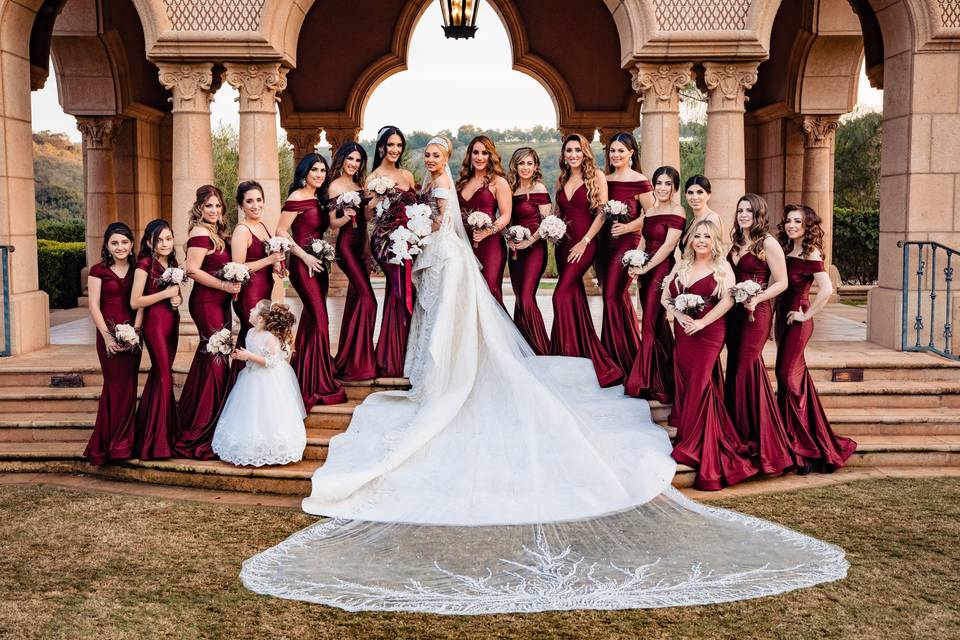 Large Bridal party Photos