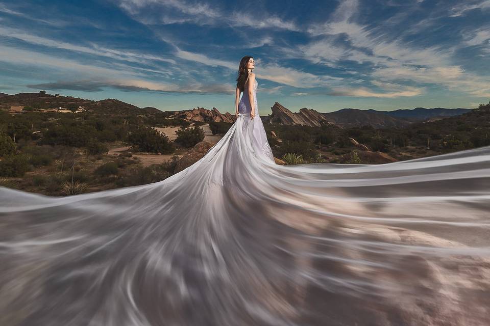 Vasquez Rocks Wedding