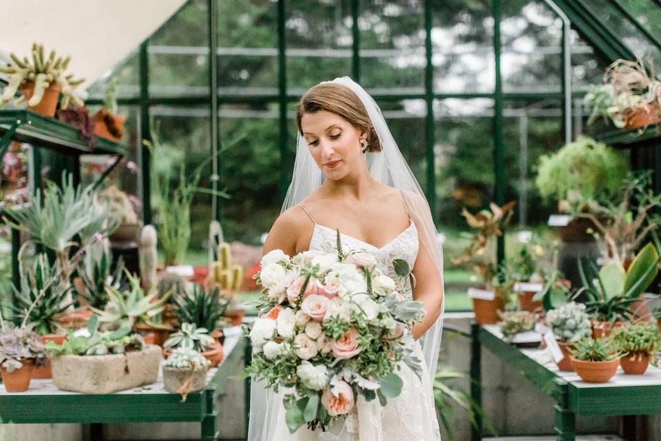 Alisha Norden Photography