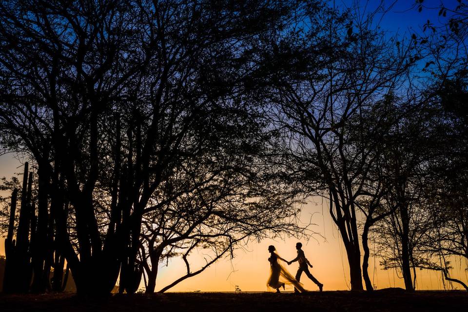 Dreams Las Mareas Silhouette