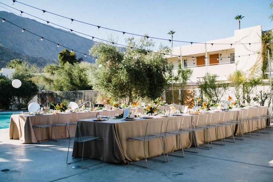 Outdoor Reception