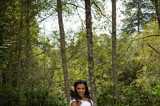 Lovely wood and water backdrop