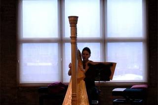 Mystic Harpist Allyn Donath