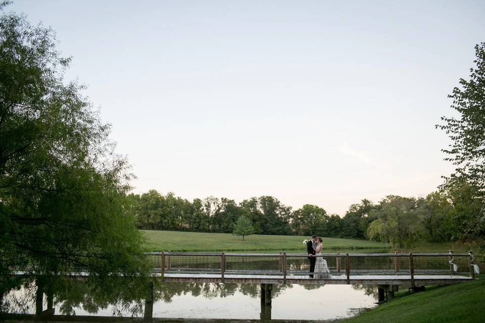 Pond Photography