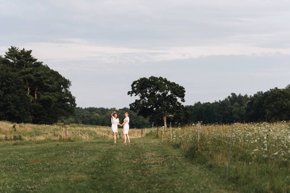 Field View
