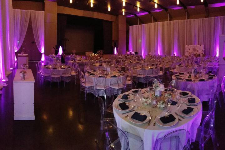 The violet room