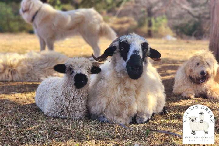 Mama, baby and LGDs